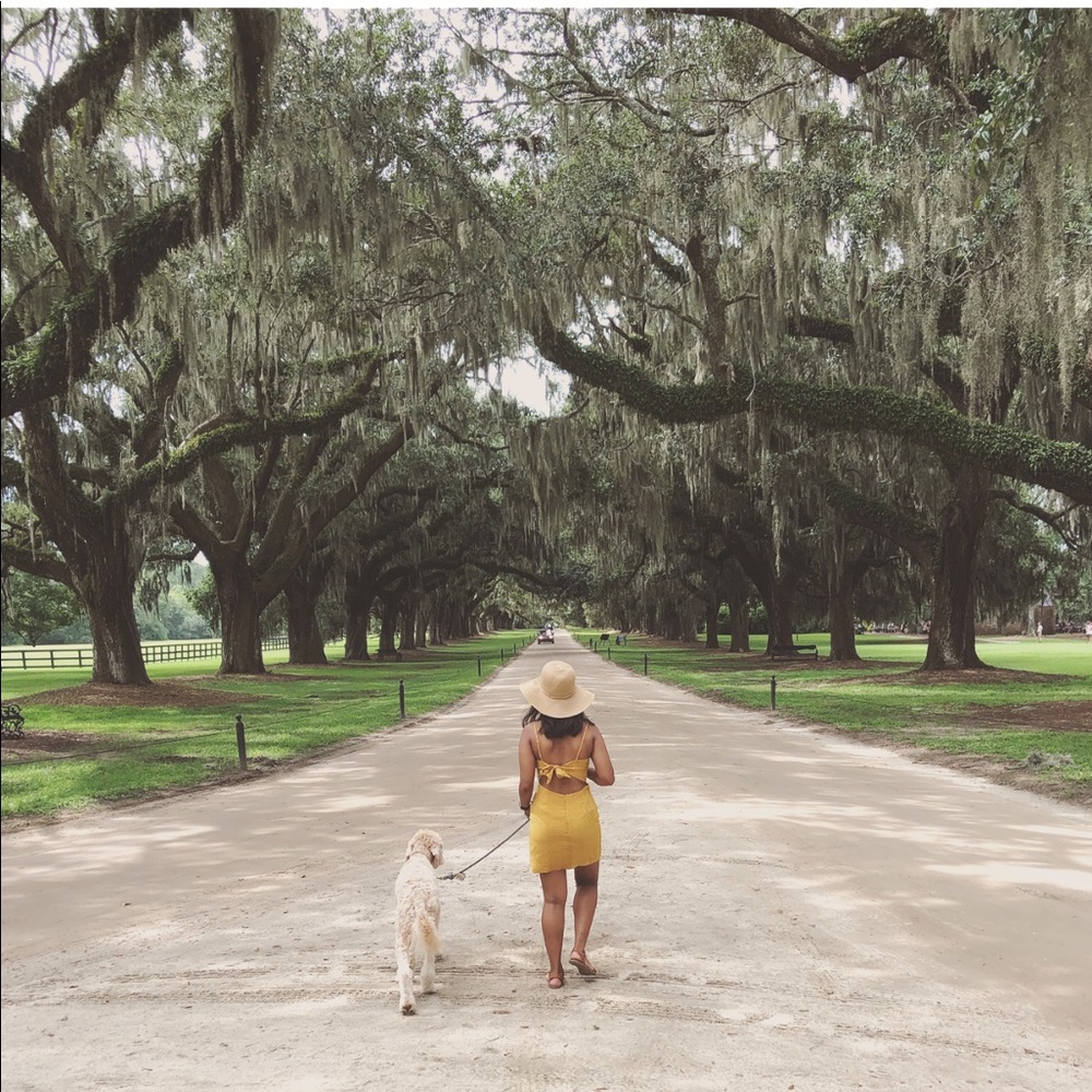 Meet your Posher, Camille